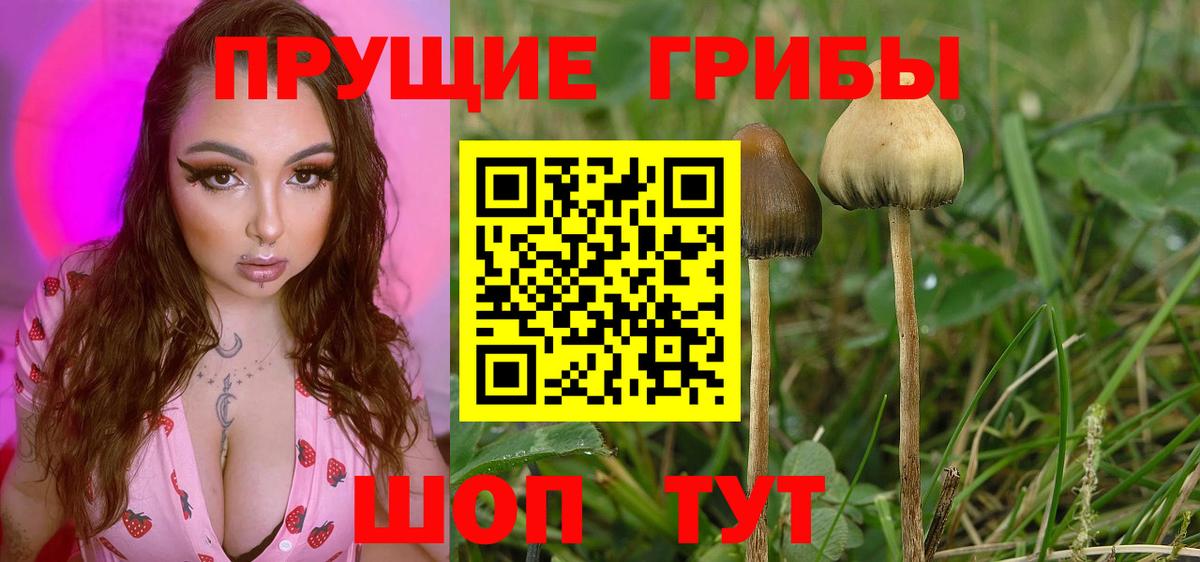 Галлюциногенные грибы MAGIC MUSHROOMS Реутов